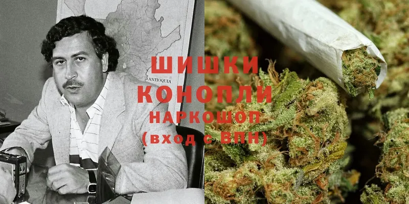 Марихуана OG Kush  Курган 